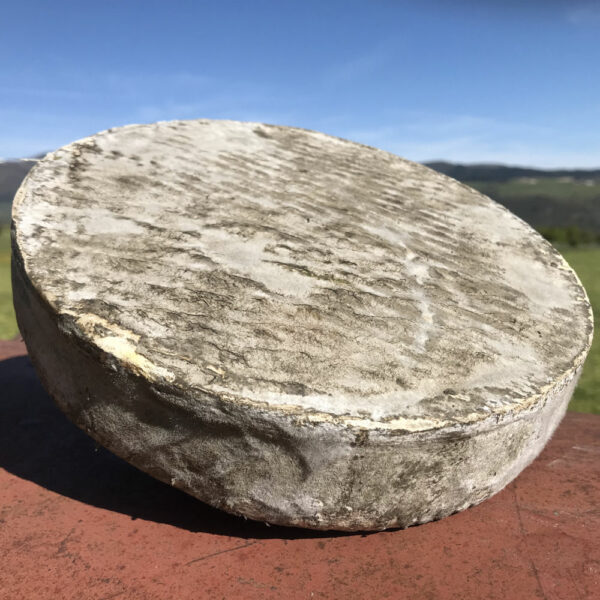 Saint-Nectaire fermier entier