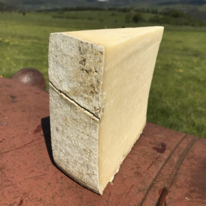 Cantal 1kg