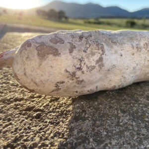 Saucisson pur porc