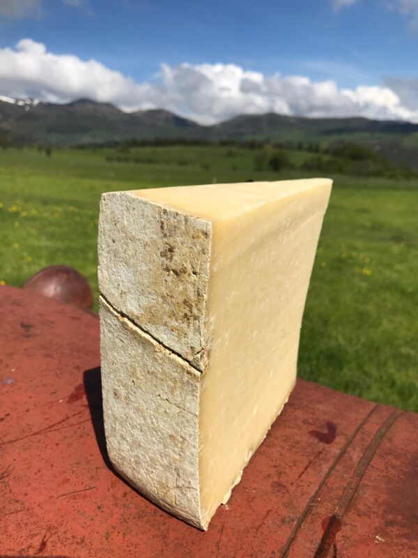 Salers 1KG – Image 2