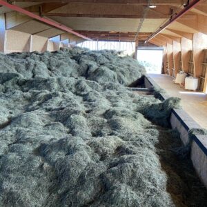 Grange avec le foin - Ferme de GAEC de l'Oiseau